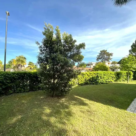 Appartement In 54648